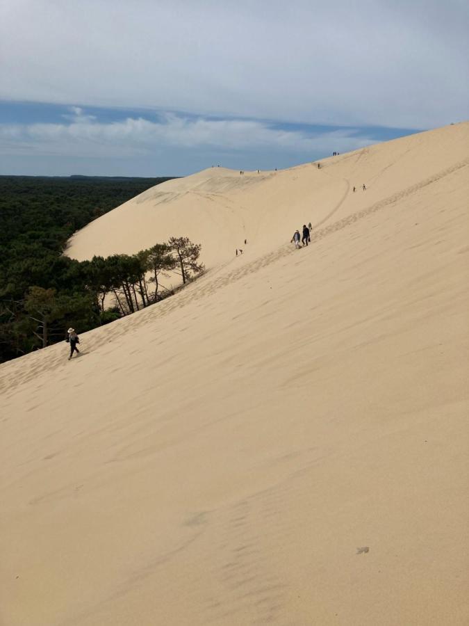 Village Seasonova Bassin D'Arcachon Audenge Dış mekan fotoğraf