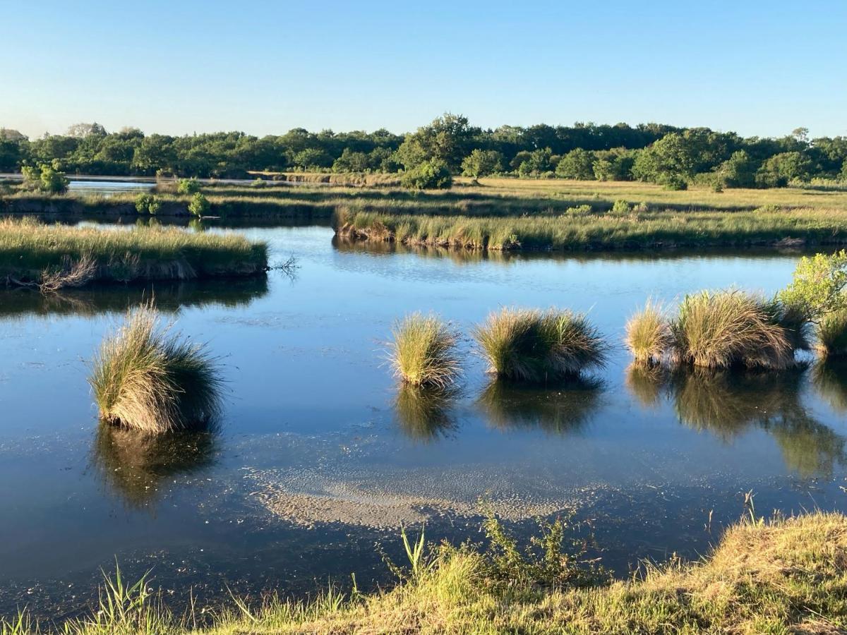 Village Seasonova Bassin D'Arcachon Audenge Dış mekan fotoğraf